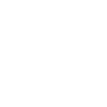 Dragonflyguitarworks