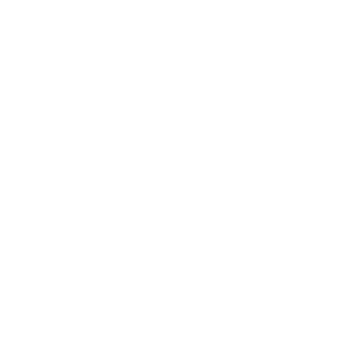 Icon-emerica