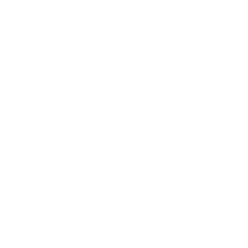 Icon-tama
