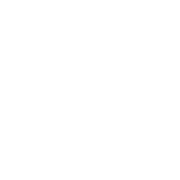 Icon-fender